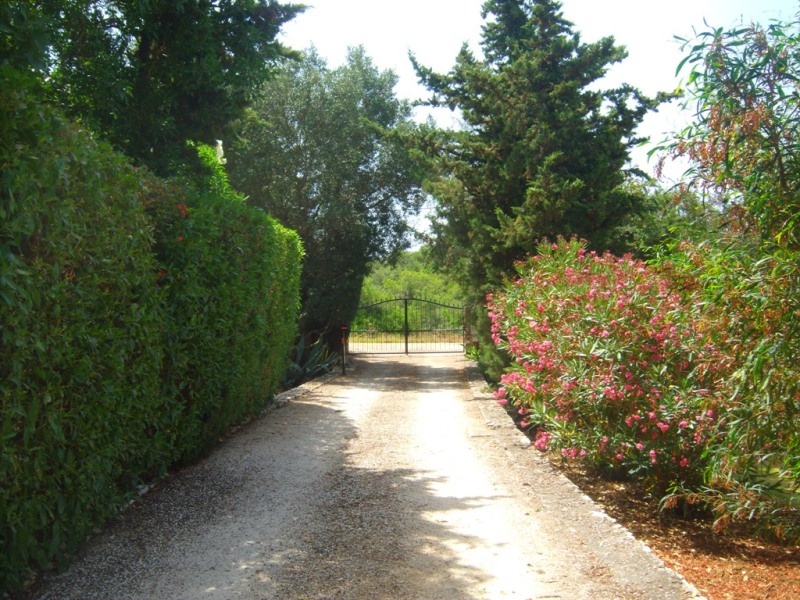 Quinta Bavaria driveway