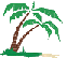 palm tree