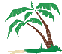 another palm tree